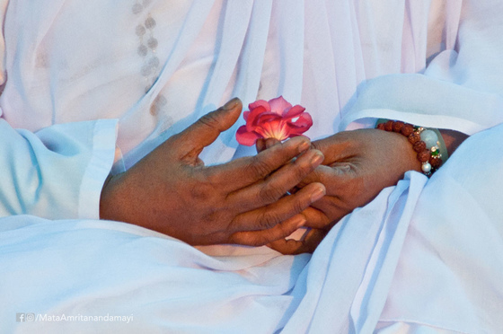 Amma's hands holding flower