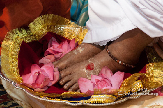 Amma's feet covered with lotus blossoms