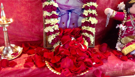 Photo of Amma's feet with a flower garland and covered in petals