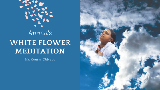 Amma's White Flower Meditation