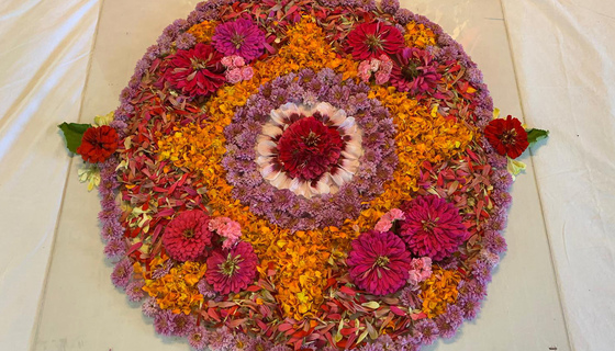 Onam pookalam (flower petal design)