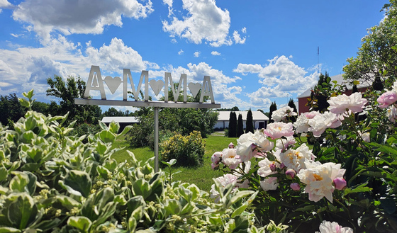 Sign in flower garden saying AMMA and peonies