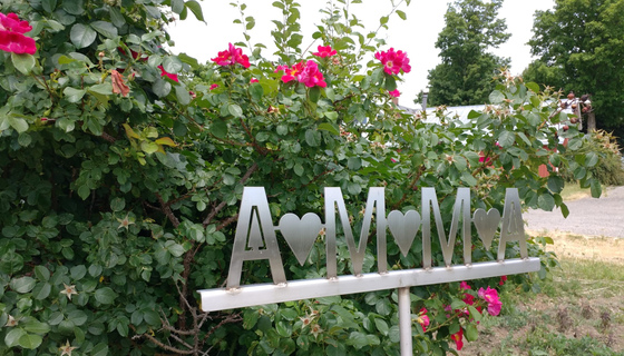 Amma sign in front of blooming rose bush