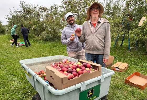 Farm team loading boxes of apples into trailer