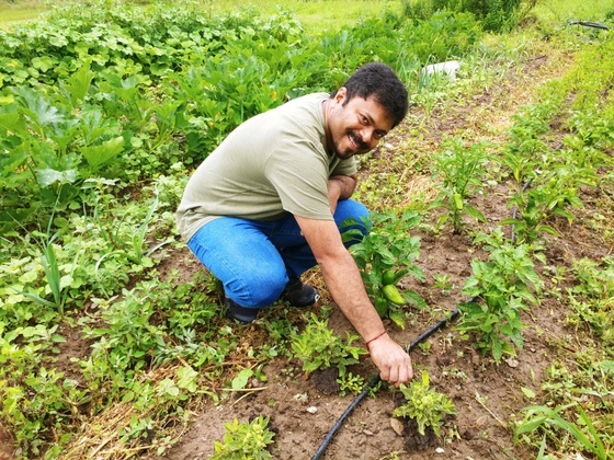 Volunteer weeding veggie garden