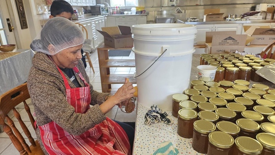 Volunteer bottling honey from Amma Canada hives