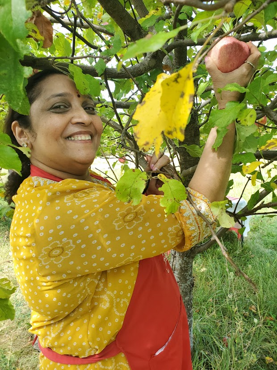 A volunteer picking apples at the MA Center Chicago orchard