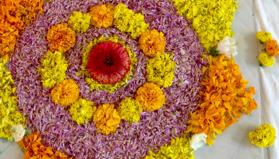 Close-up of design made with different coloured flower petals