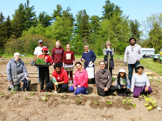 Group of volunteers planting veggie garden