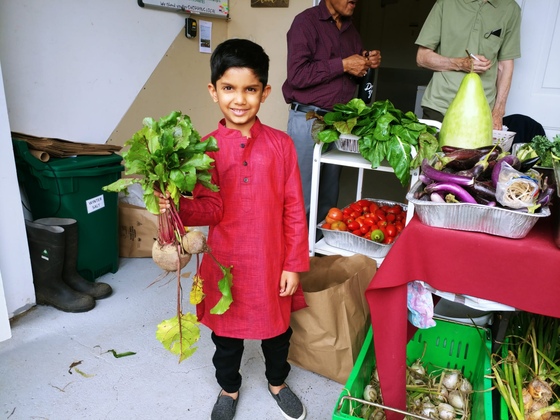 Child holding bunch of beets