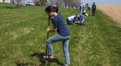 A woman digging a hole shovel to plant a tree at MA Center Chicago