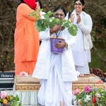 Amma blessing the 1000th fruit tree at the meditation meadow