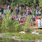 Amma feeding the swans and the ducks at the pond