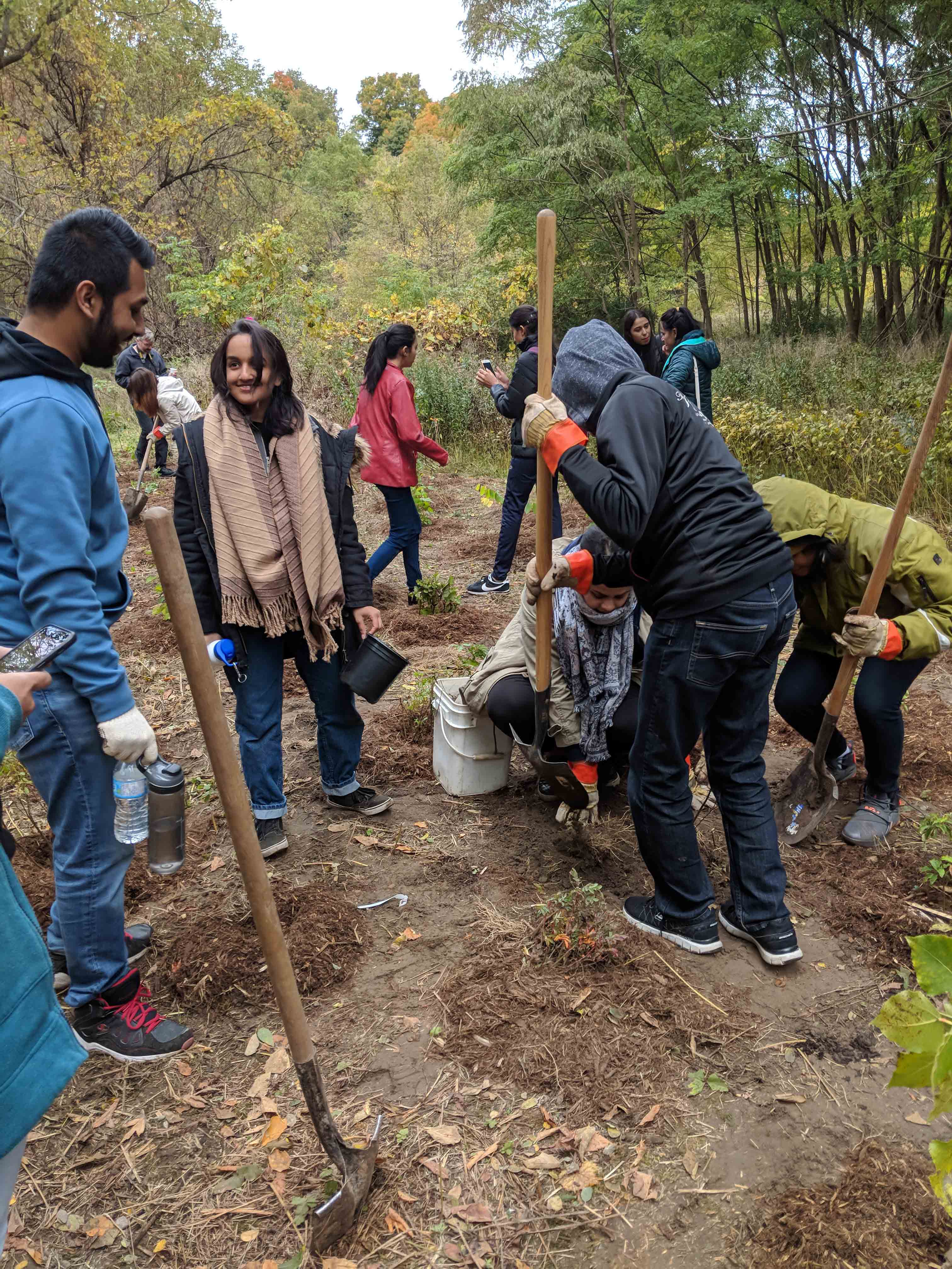 AYUDH volunteers planting trees in Cedar Ridge Park Scarborough