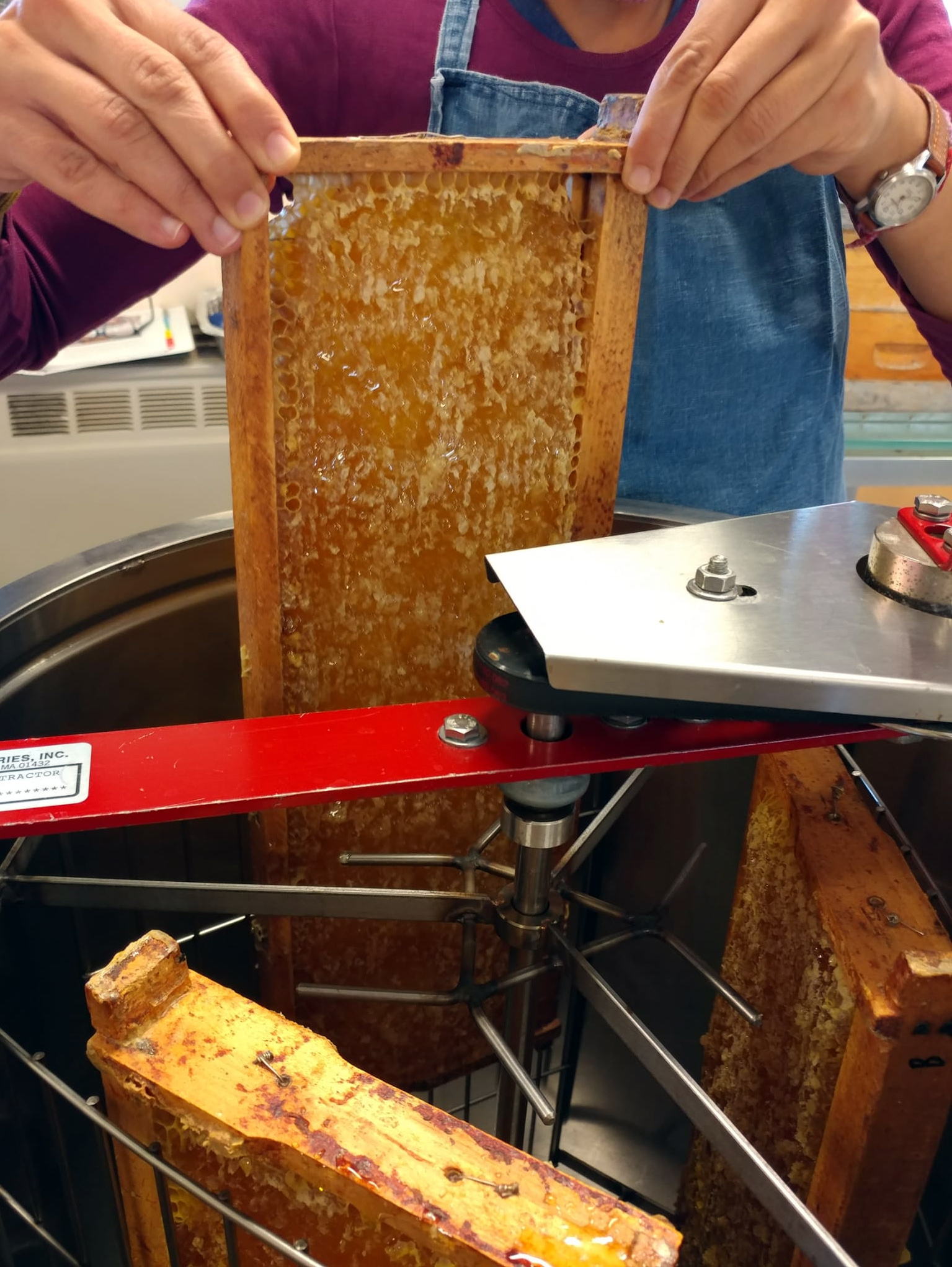 Loading frame into honey extractor