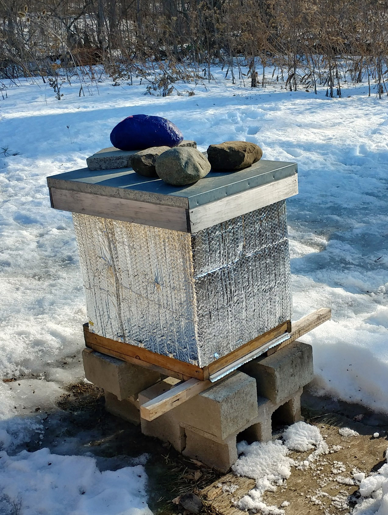 Hive in winter with snow around
