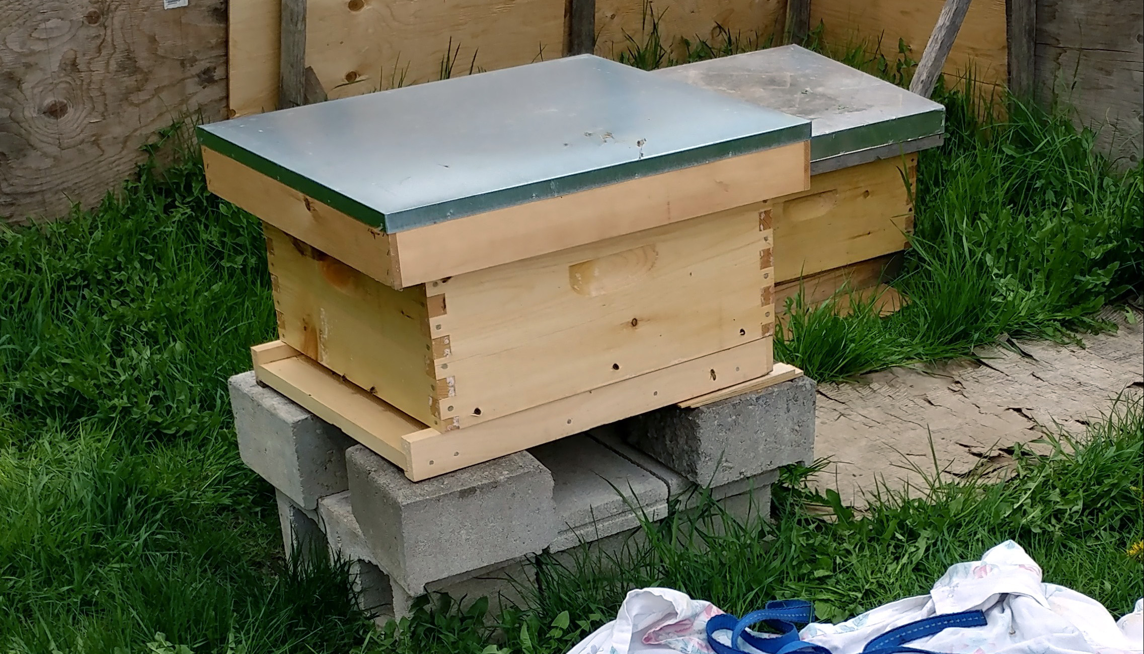New hive for new swarm of bees