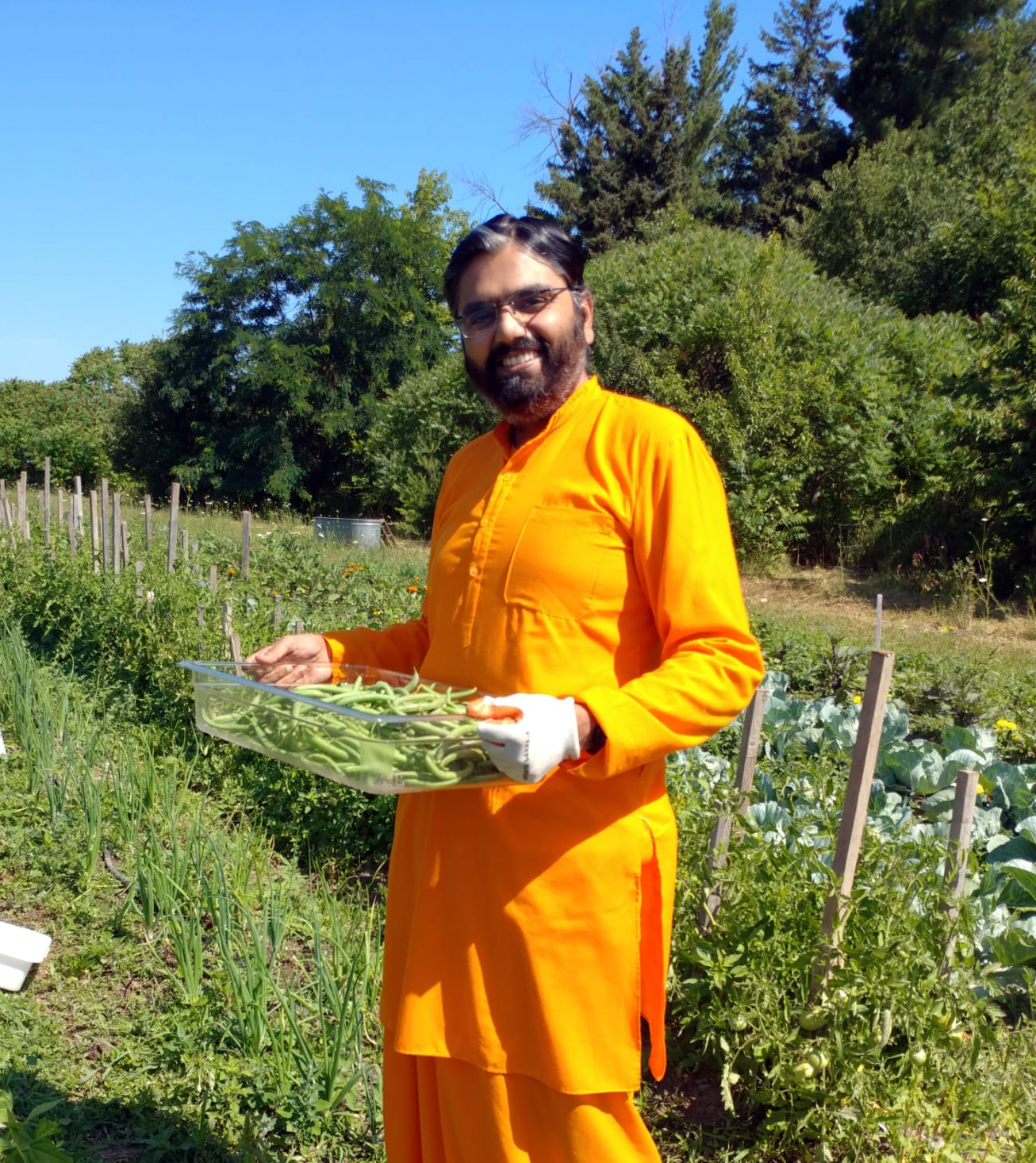 Br. Ramananamrita Chaitanya holding freshly picked green beans