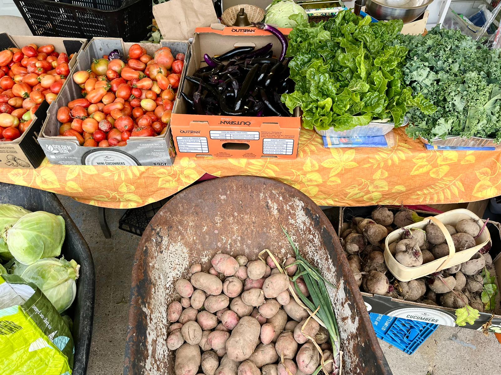 Farm stand with tomatoes, eggplant, beets, potatoes, cabbage and kale for sale