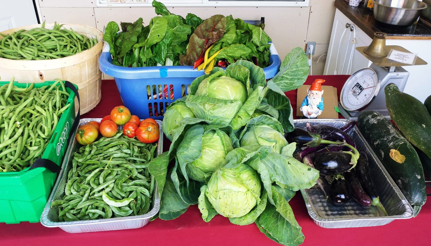 Veggie sales table with beans, tomatoes, Swiss chard, cabbage, eggplant & zucchini