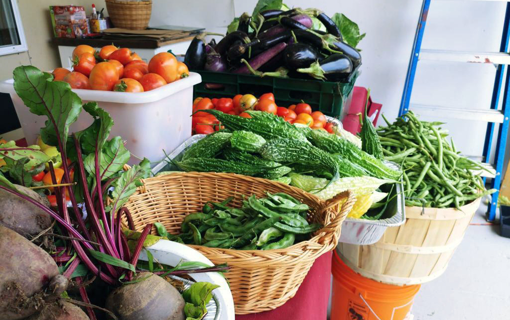 Bountiful veggie harvest on sales table: beets, tomatoes, eggplant, karela, green beans